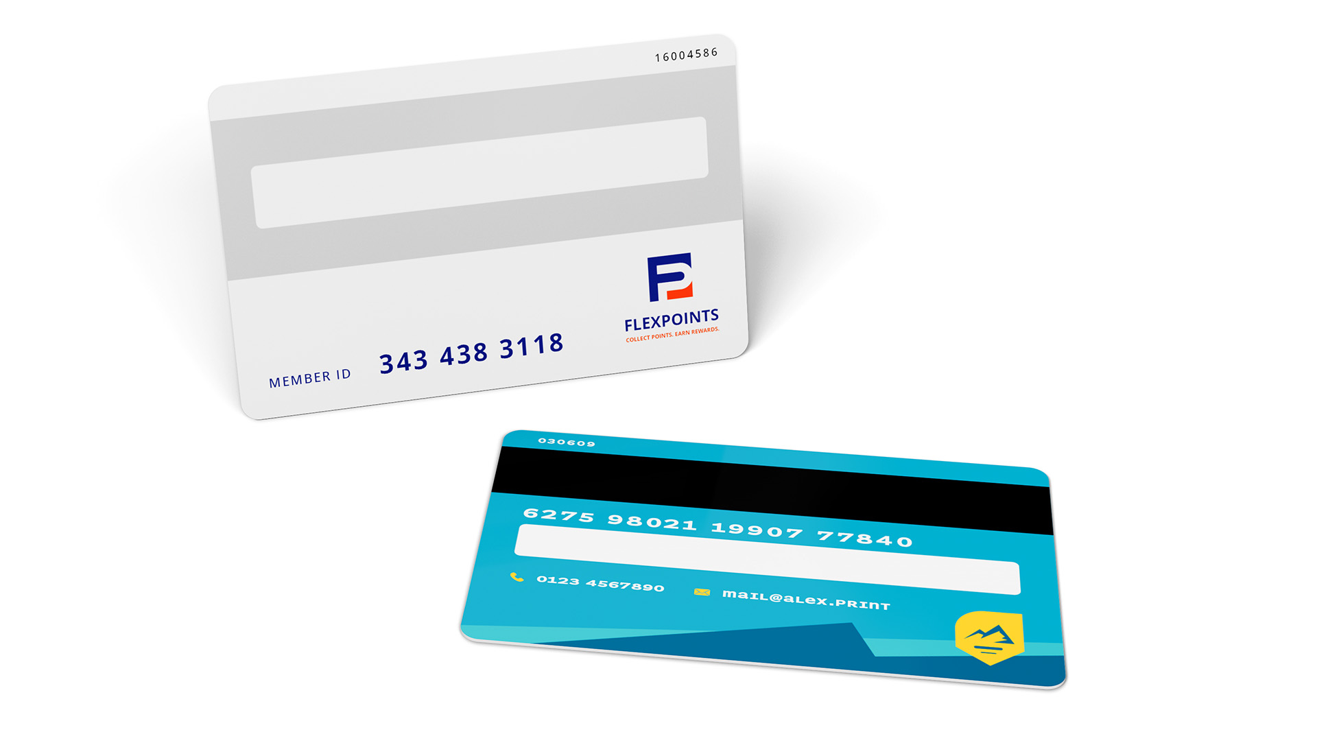 Cartes en plastique avec champ de signature Cartes en plastique avec champ de signature