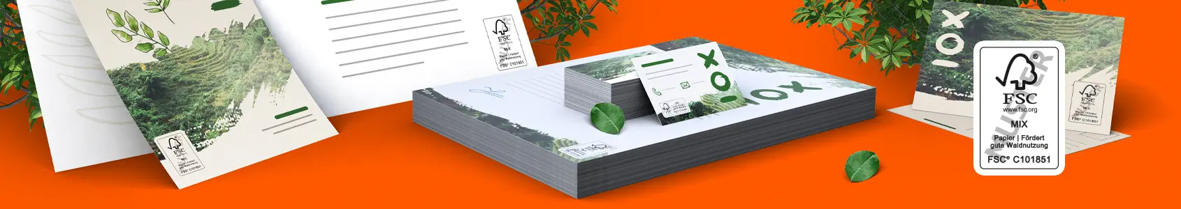 Das FSC®-Label
